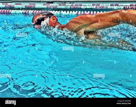 Australian crawl hi-res stock photography and images - Alamy