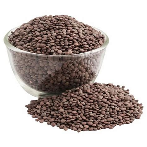 Red Organic Whole Masoor Dal High In Protein Packaging Size 1 Kg At