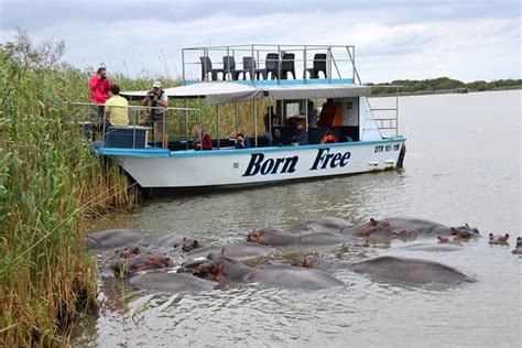 Tripadvisor St Lucia Isimangaliso Boat Safari Day Tour From Durban