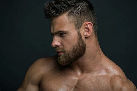 Gay Wolf A Body Type Guide For Gay Men With Examples Mens Variety