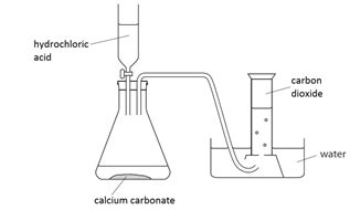 Common Gases Bod Flashcards Quizlet