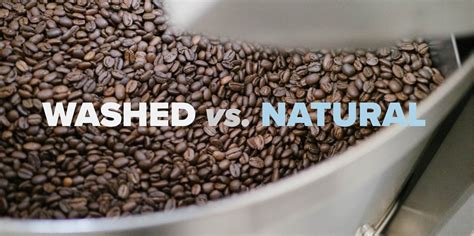 Coffee: Washed vs. Natural Process – Backyard Beans Coffee Company