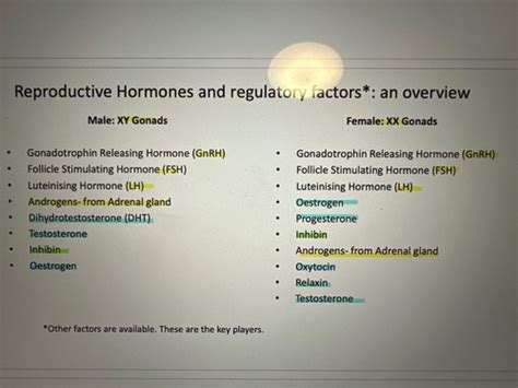 Reproductive Hormone Physiology Flashcards Quizlet