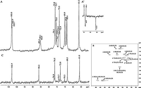 13 C NMR Spectrum Of D Glucan A With Insert Of DEPT CH2 Inversion