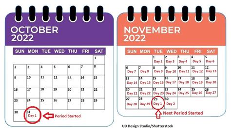 How To Calculate Your Menstrual Cycle Period Cycle Length