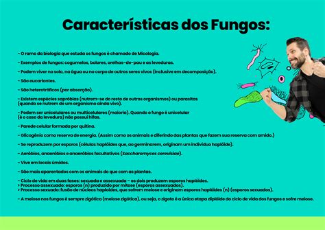 Características dos Fungos Caracteristicas dos fungos Mapa mental