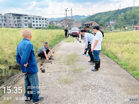 耒阳市人民政府门户网站 市农业农村局、市统计局、市财政局联合开展油菜测产验收工作