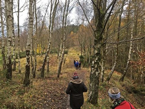 Late Autumn colours in the Forest of Dean – Forest of Dean & Wye Valley ...