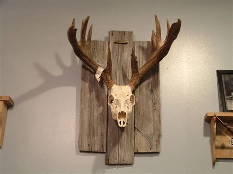 European Mount On Reclaimed Barn Boards Deer Hunting Decor Antlers Decor Hunting Room Deer