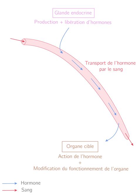 Reproduction Et Sexualité 4e Cours Svt Kartable