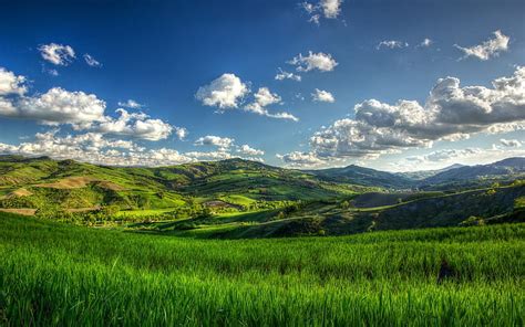 Hd Wallpaper Norway Summer Landscape Grass Trees Road Hills Green