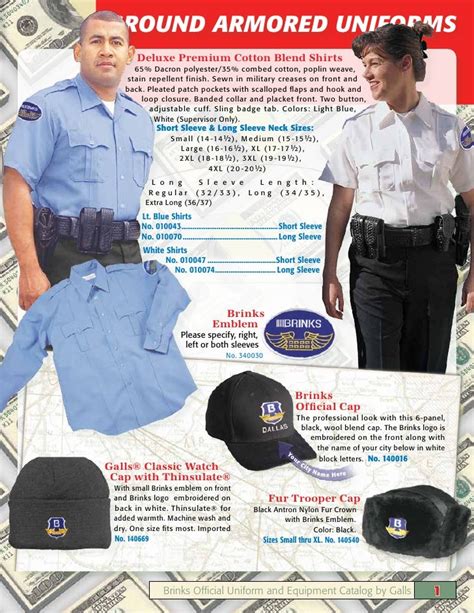 Brinks 2009 Catalog