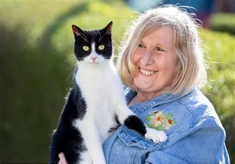 Gato Que Ajuda A Tutora Surda é Eleito O Gato Do Ano” Em Competição