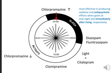 Circadian Rhythms Flashcards Quizlet