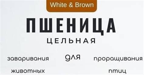 Пшеница | Пикабу