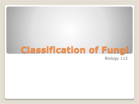 Ppt Classification Of Fungi Powerpoint Presentation Free Download