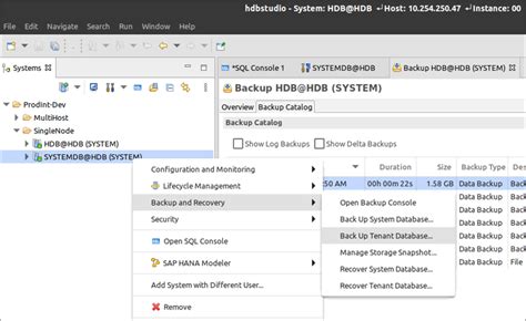 Managing Sap Hana Database Backups On Aws With Syntax Cxlink Backup