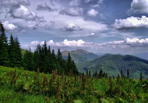 The Carpathian Mountains - Ukraine Photo (22837762) - Fanpop