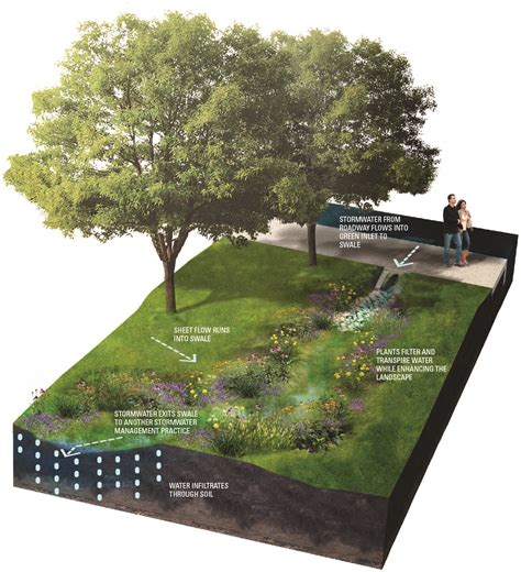 Swales – Green Stormwater Infrastructure