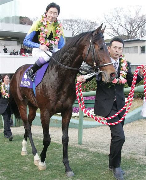 ディープインパクトと武豊 ― スポニチ Sponichi Annex ギャンブル