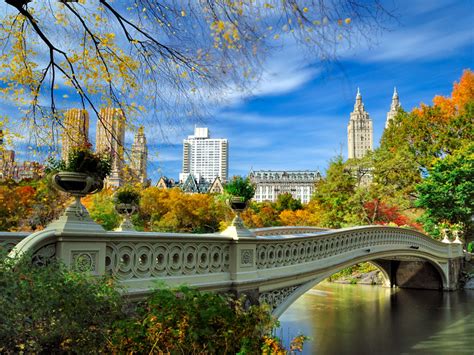 Central Park Central Park Wallpaper 32583913 Fanpop