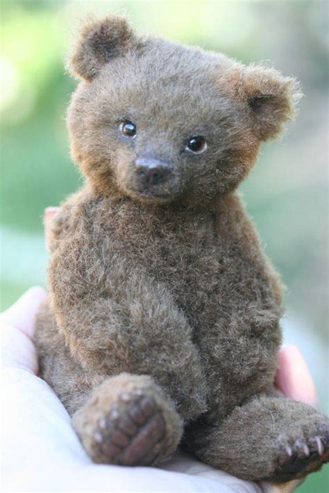 Gorgeous Eyes Teddy Teddy Bear Teddy Teddy Bear Picnic