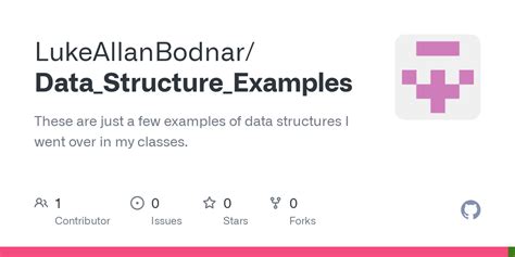 GitHub - LukeAllanBodnar/Data_Structure_Examples: These are just a few examples of data ...