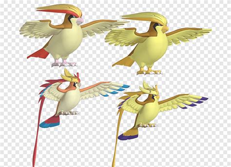 Pokémon X and Y Pidgeotto pokemon pidgeot fauna bird png PNGEgg