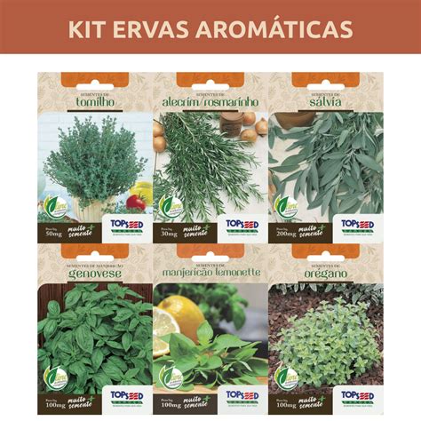 Erva Aromatica Com 5 Letras - Kit 6 Sementes Ervas Aromáticas | Tomilho, Alecrim, Sálvia, Orégano ...