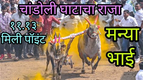 चांडोली घाटाचा राजा १११३ मिली पॉइंट मन्या भाई Live Bailgada Sharyat