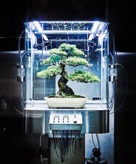 Azuma Makoto Preserves Bonsai Tree Inside Futuristic Ecosphere