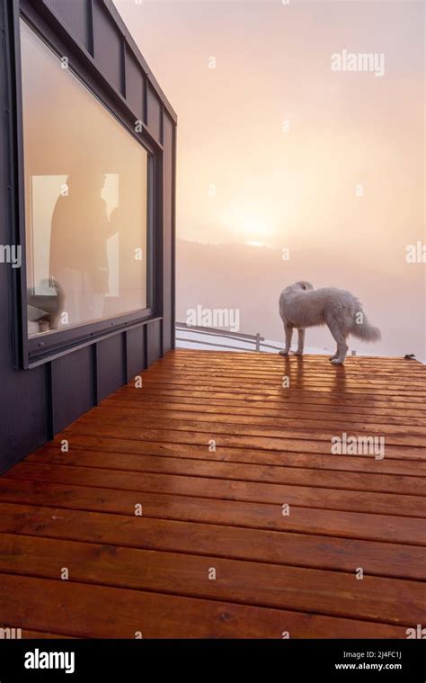 Cottage Window View Out Hi Res Stock Photography And Images Alamy