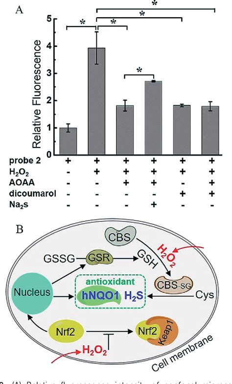 Figure From Dual Biomarker Triggered Fluorescence Probes For