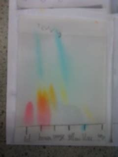 Y8E Isaac Ng Science - Candy Chromatography