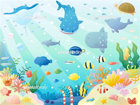 海の中の生き物 イラスト 634047 海の中の生き物 イラスト Freemuryoftkaqx