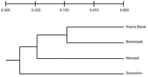 Dendrogram Constructed With Nei S Unbiased Genetic Distances Through