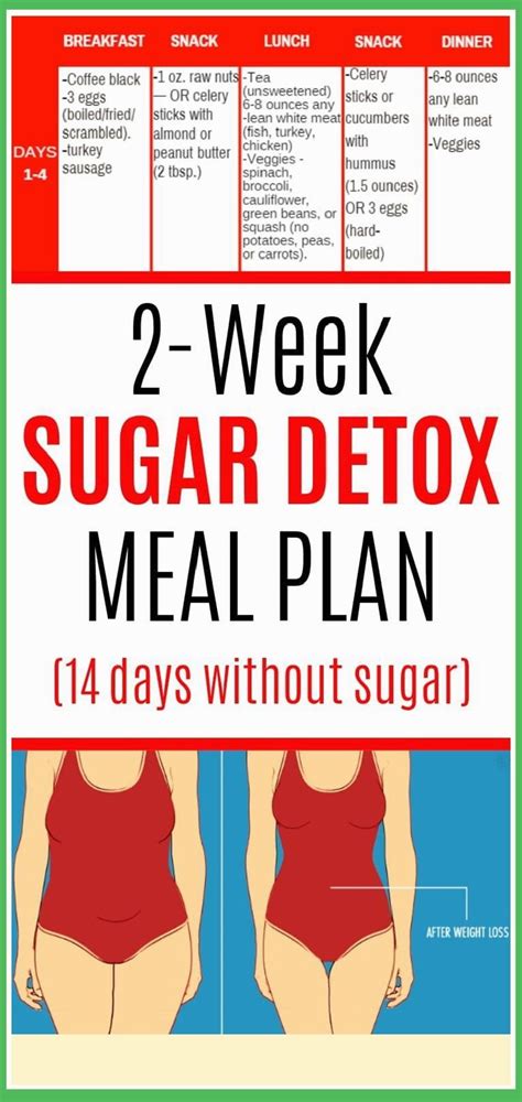 2 Week Sugar Detox Shape Your Body Detox Meal Plan Sugar Detox