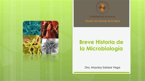 SOLUTION 1 Tema 1 Introducci N A La Microbiolog A De Alimentos Studypool