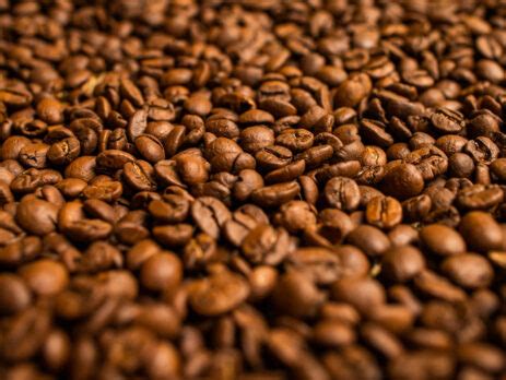 Produtores de café do Cerrado Mineiro investem em projetos o