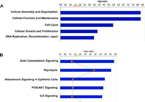 Top Five Molecular And Cellular Processes A And Canonical Pathways