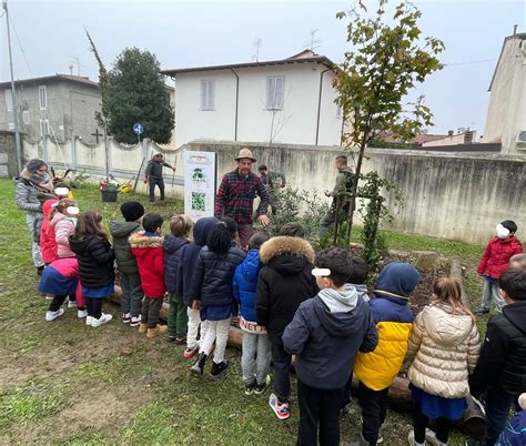 Signa Alla Scuola Ciampi Di San Mauro Piantato Il Bosco Didattico