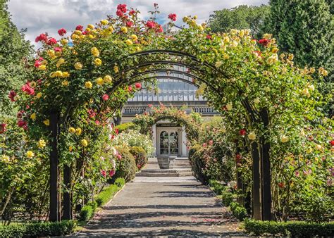 Visit Christchurch on a trip to New Zealand | Audley Travel UK