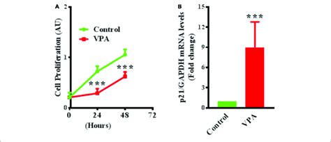 Valproic Acid Inhibits Cell Proliferation And Up Regulates