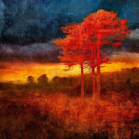 Mark Munroe Preston No Naked Walls