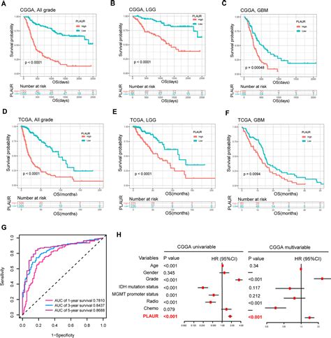 Plasminogen Activator Urokinase Receptor Implies Immunosuppressive