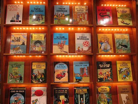 Tintin Books | Tintin, Books, Childhood