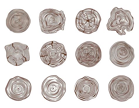 premium vector pine log cut forest tree rings natural sawn  trunk