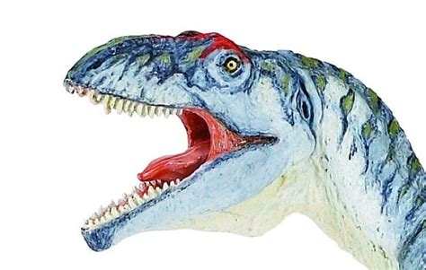 Picture Of Safari Ltd Carnegie Scale Model Giganotosaurus