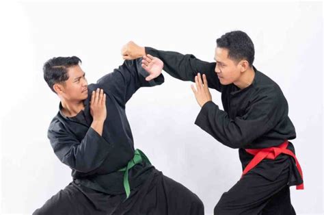 Mengenal Jenis Dan Teknik Pukulan Dalam Pencak Silat Gramedia Literasi