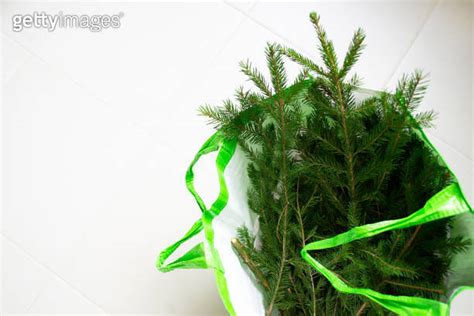 A Pile Of Used Christmas Trees In A Bag Ready For Recycling Christmas